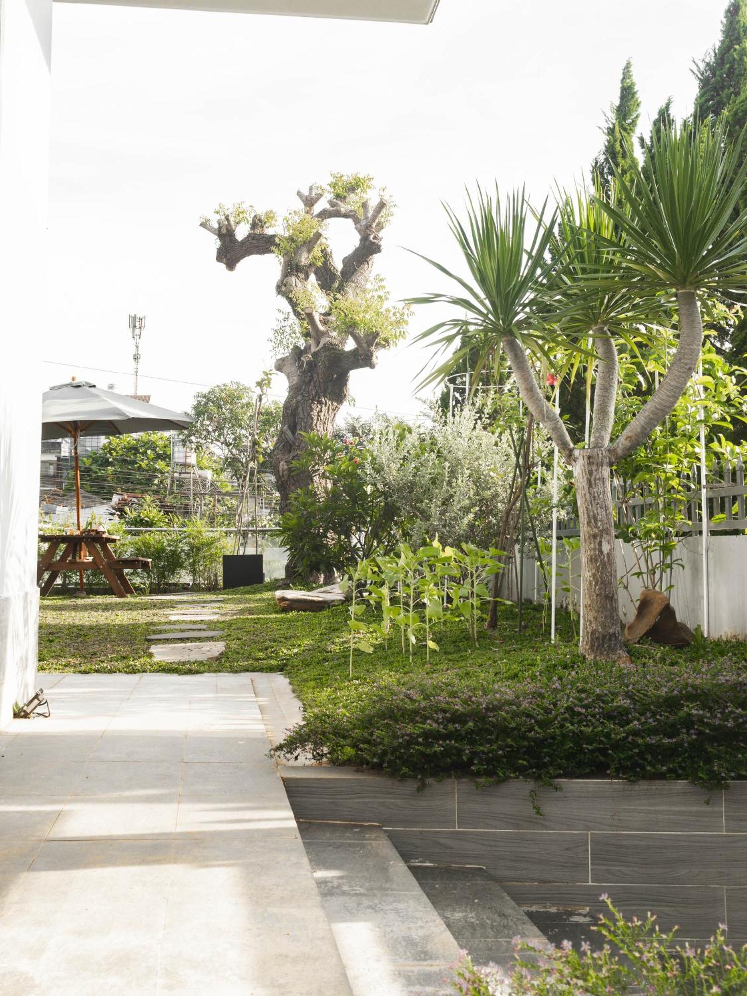 Hotel Shalom House _ Bao Loc Exterior foto