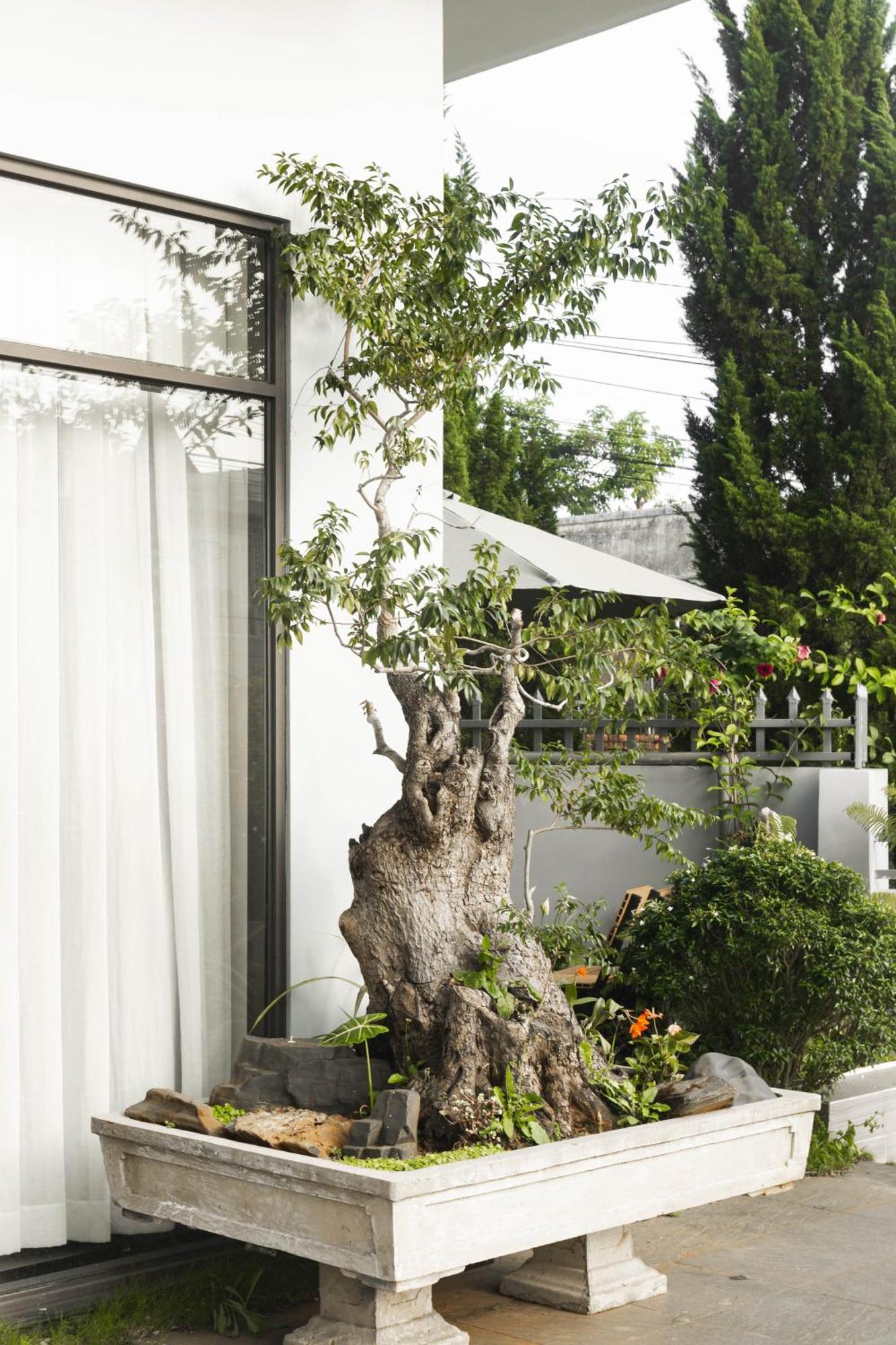 Hotel Shalom House _ Bao Loc Exterior foto